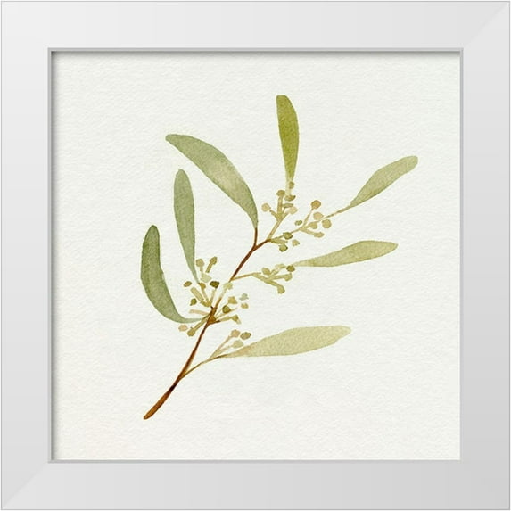 Caroline, Emma 26x26 White Modern Wood Framed Museum Art Print Titled - Eucalyptus Collection III