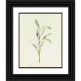 thumbnail image 1 of Caroline, Emma 26x32 Black Ornate Wood Framed with Double Matting Museum Art Print Titled - Olive Leaves I, 1 of 4