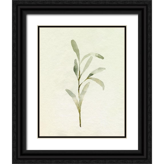 Caroline, Emma 26x32 Black Ornate Wood Framed with Double Matting Museum Art Print Titled - Olive Leaves I