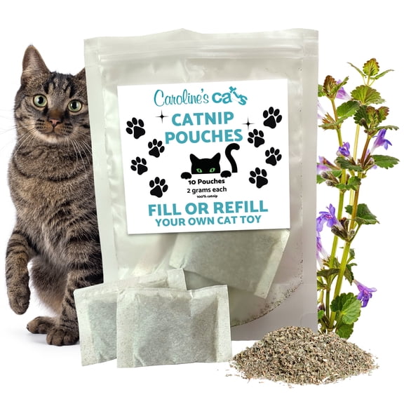 Caroline's Cats Organic Catnip Packets for Cat Toys Refill Pouches for Flapping Bird, Flopping Fish, and More, 10 Tea Bags