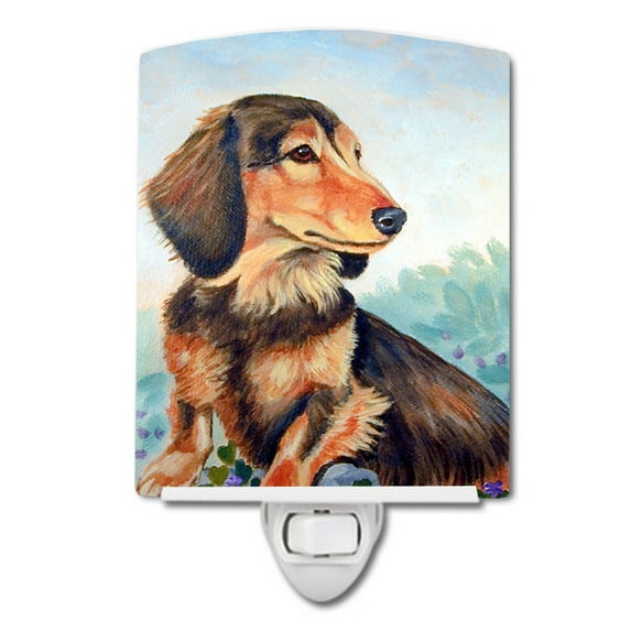 Caroline's Treasures 7023CNL Long Hair Chocolate and Cream Dachshund Ceramic Night Light, 6x4x3", multicolor