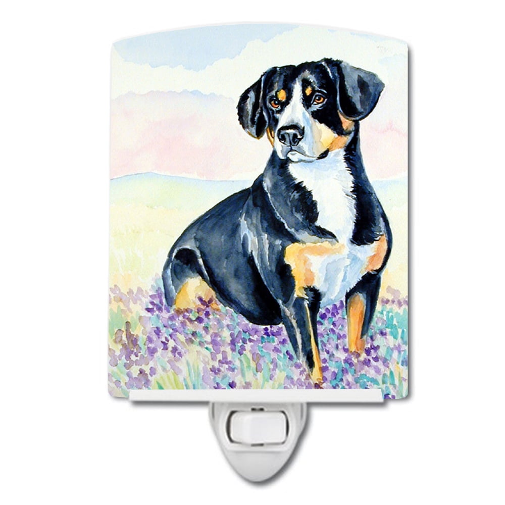 Caroline's Treasures 7030CNL Entlebucher Mountain Dog Ceramic Night Light, 6x4x3", multicolor
