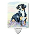 thumbnail image 1 of Caroline's Treasures 7030CNL Entlebucher Mountain Dog Ceramic Night Light, 6x4x3", multicolor, 1 of 2