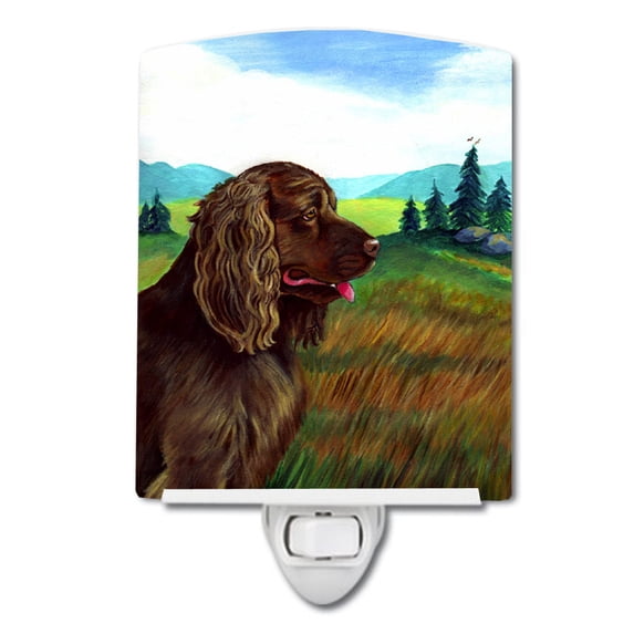 Caroline's Treasures 7122CNL Sussex Spaniel Ceramic Night Light, 6x4x3", multicolor