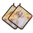 thumbnail image 1 of Caroline's Treasures Afghan Hound Fall Pair of Pot Holders, 1 of 2