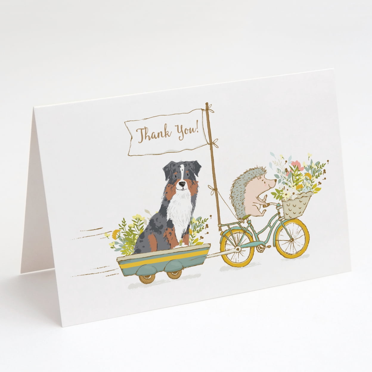 Australian Shepherd Blue Merle Greeting Cards and Envelopes Pack of 8