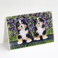 thumbnail image 1 of Bernese Mountain Dog Greeting Cards and Envelopes Pack of 8, 1 of 2