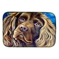 thumbnail image 1 of Caroline's Treasures Boykin Spaniel Dish Drying Mat, 1 of 2
