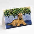 thumbnail image 1 of Briard Greeting Cards and Envelopes Pack of 8, 1 of 3