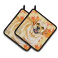 thumbnail image 1 of Caroline's Treasures Golden Retriever Fall Pair of Pot Holders, 1 of 2