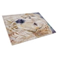 thumbnail image 1 of Caroline's Treasures Golden Retriver Contemplation Glass Cutting Board Large, 1 of 1
