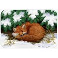 thumbnail image 1 of Caroline's Treasures Naptime Fox Kitchen/Bath Mat, 1 of 2