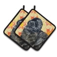 thumbnail image 1 of Caroline's Treasures Newfoundland Fall Pair of Pot Holders, 1 of 2