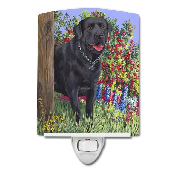 Caroline's Treasures PPP3028CNL Black Labrador Retriever Ceramic Night Light, 6x4x3", multicolor