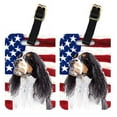 thumbnail image 1 of Caroline's Treasures Pair of USA American Flag with Springer Spaniel Luggage Tags SC9016BT, 1 of 1