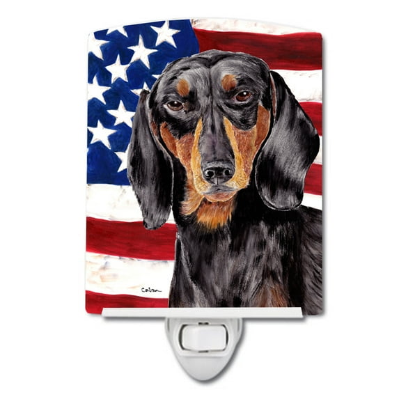 Caroline's Treasures SC9003CNL Flag with Dachshund Ceramic Night Light, 6x4x3", multicolor