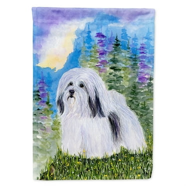 Caroline's Treasures SS1034-FLAG-PARENT Havanese Flag, , multicolor