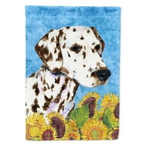 Caroline's Treasures SS4238-FLAG-PARENT Dalmatian Flag, , multicolor