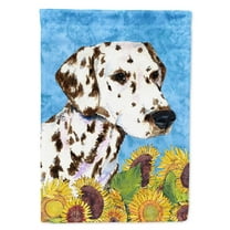 Caroline's Treasures SS4238-FLAG-PARENT Dalmatian Flag, , multicolor