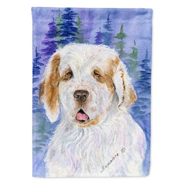 Caroline's Treasures SS8008-FLAG-PARENT Clumber Spaniel Flag, , multicolor