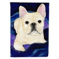 thumbnail image 1 of Caroline's Treasures SS8126-FLAG-PARENT French Bulldog Flag, , multicolor, 1 of 2