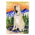 thumbnail image 1 of Caroline's Treasures SS8169-FLAG-PARENT Brazilian Mastiff  / Fila Brasileiro  Flag, , multicolor, 1 of 2