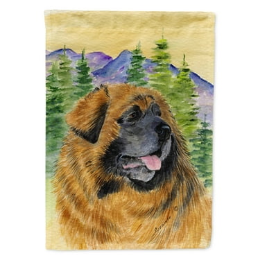 Caroline's Treasures SS8202-FLAG-PARENT Leonberger Flag, , multicolor