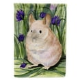 thumbnail image 1 of Caroline's Treasures SS8206-FLAG-PARENT Chinchilla Flag, , multicolor, 1 of 2