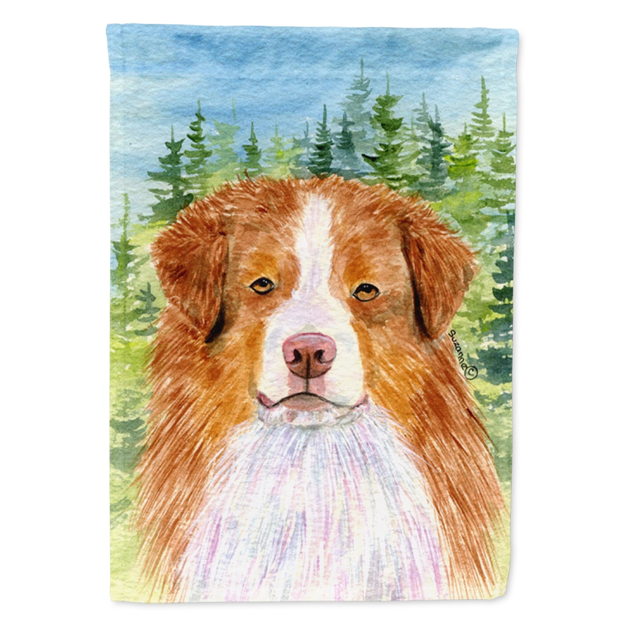Libro Australian Shepherd - Genetica Autore Marco Rosetti