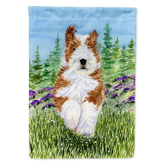 Caroline's Treasures SS8320-FLAG-PARENT Bearded Collie Flag, , multicolor