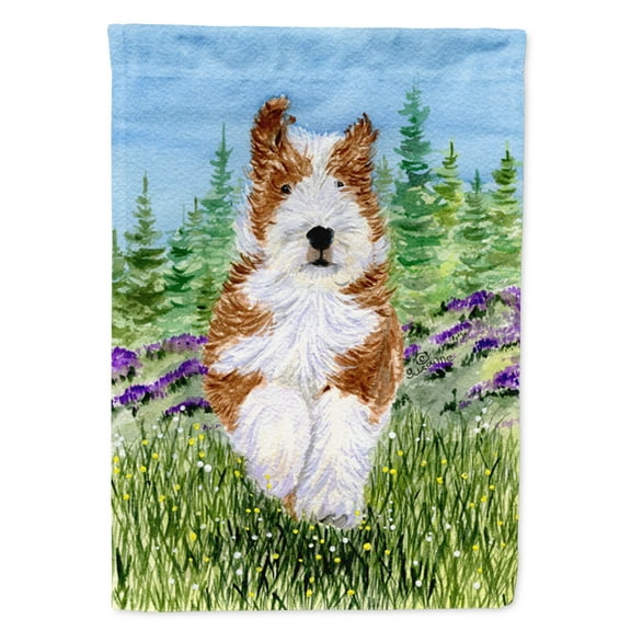 Caroline's Treasures SS8320-FLAG-PARENT Bearded Collie Flag, , multicolor