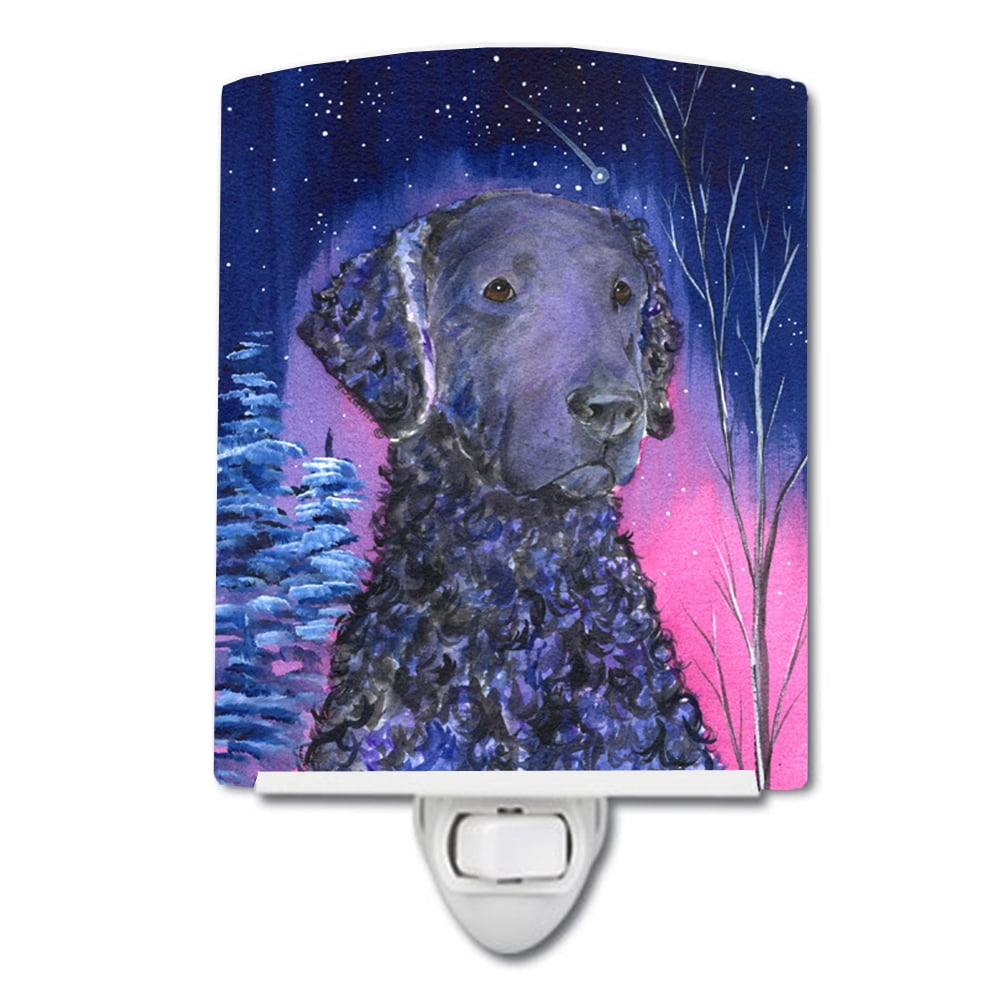 Caroline's Treasures SS8354CNL Starry Night Curly Coated Retriever Ceramic Night Light, 6x4x3", multicolor