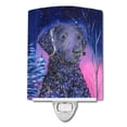 thumbnail image 1 of Caroline's Treasures SS8354CNL Starry Night Curly Coated Retriever Ceramic Night Light, 6x4x3", multicolor, 1 of 2