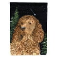 thumbnail image 1 of Caroline's Treasures SS8510-FLAG-PARENT American Water Spaniel Flag, , multicolor, 1 of 2