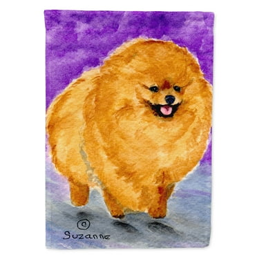 Caroline's Treasures SS8681-FLAG-PARENT Pomeranian Flag, , multicolor