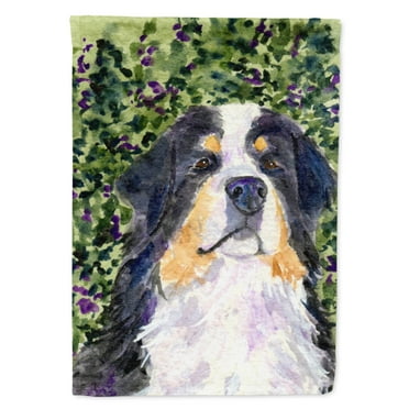Caroline's Treasures SS8830-FLAG-PARENT Bernese Mountain Dog Flag, , multicolor