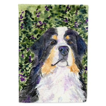 Caroline's Treasures SS8830-FLAG-PARENT Bernese Mountain Dog Flag, , multicolor