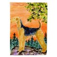 thumbnail image 1 of Caroline's Treasures SS8850-FLAG-PARENT Airedale Flag, , multicolor, 1 of 2