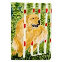 Caroline's Treasures SS8906-FLAG-PARENT Golden Retriever Flag, , multicolor