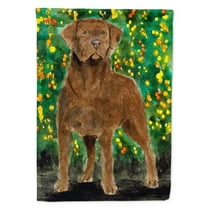 Caroline's Treasures SS8969-FLAG-PARENT Chesapeake Bay Retriever Flag, , multicolor