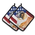 thumbnail image 1 of Caroline's Treasures Saint Bernard Patriotic Pair of Pot Holders, 1 of 3