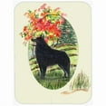 thumbnail image 1 of Caroline's Treasures Schipperke Glass Cutting Board Large, 1 of 2