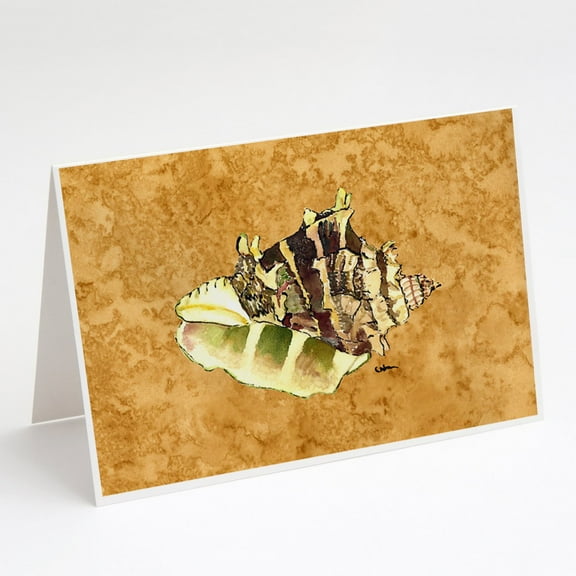 Shell Greeting Cards and Envelopes Pack of 8