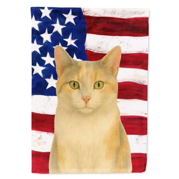 Carolines Treasures WDK6431CHF 40 x 28 in. Dilute Calico Cat American House Flag