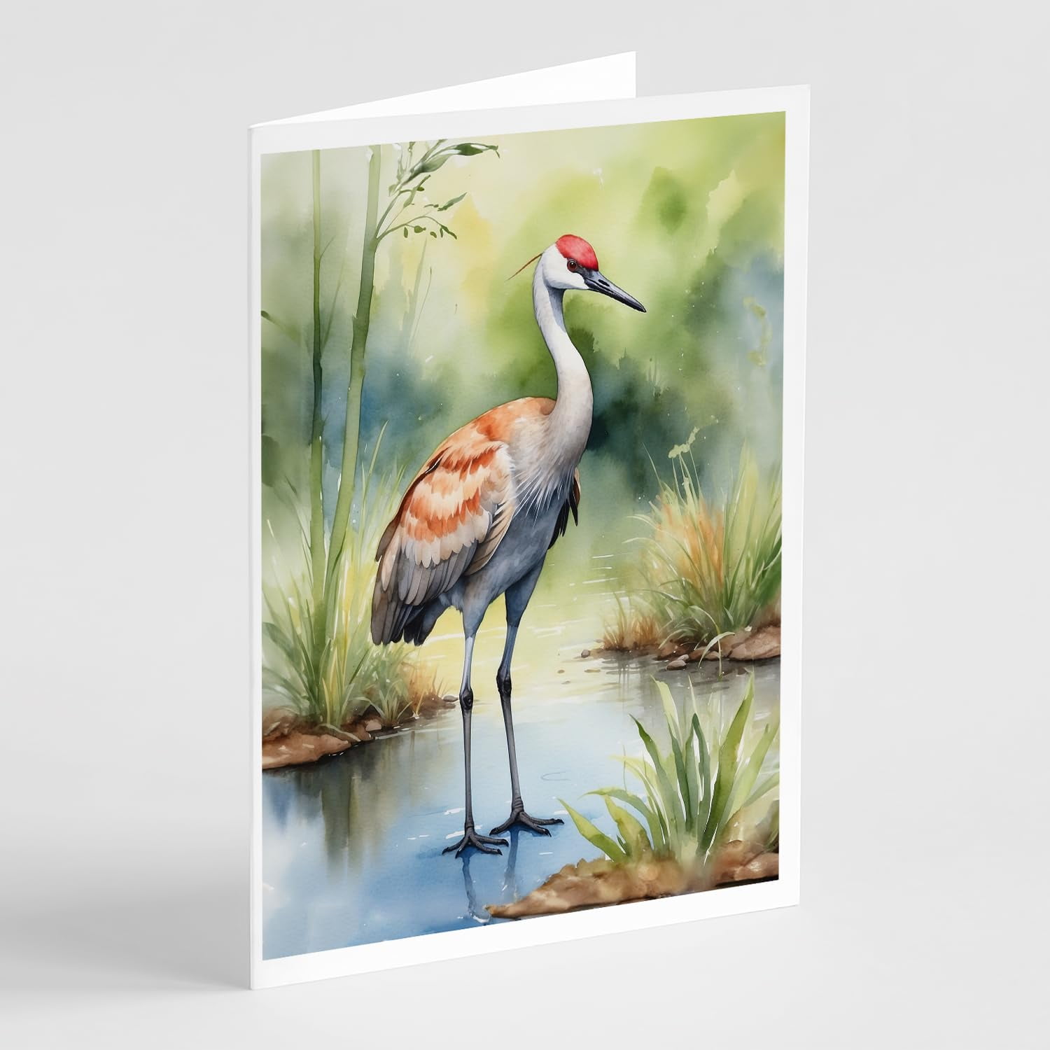 Carolines Treasures DAC7479GCA7P 5 x 7 in. Sandhill Crane Greeting Cards - Pack of 8