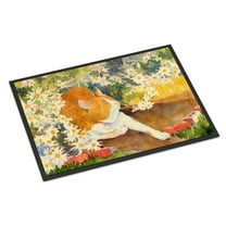 Carolines Treasures 6030JMAT Cat Door Mat Indoor Rug or Outdoor Welcome Mat 24x36 Doormat 36"L x 24"W multicolor