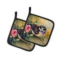 thumbnail image 1 of Carolines Treasures 7.5 x 7.5 in. Spectacled Owl Pot Holders - Set of 2, 1 of 5