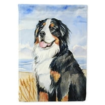 Carolines Treasures 7012-FLAG-PARENT Bernese Mountain Dog Flag multicolor
