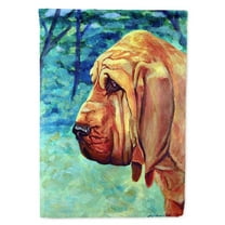 Carolines Treasures 7013-FLAG-PARENT Bloodhound Thoughtful Flag  multicolor
