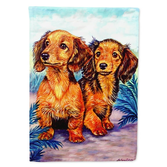 Carolines Treasures 7022-FLAG-PARENT Long Hair Red Dachshund Flag multicolor